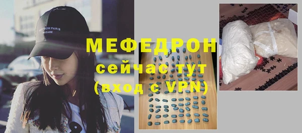 spice Богородицк