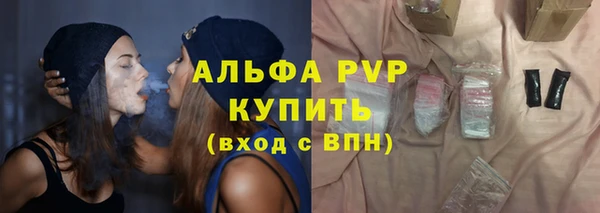 эйфоретик Беломорск