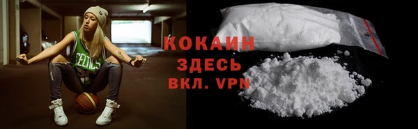 тгк Богданович