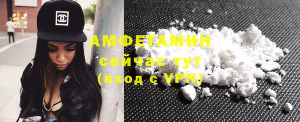 spice Богородицк