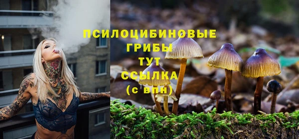 мдма Богородск