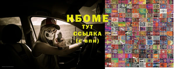 spice Богородицк