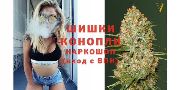 spice Богородицк