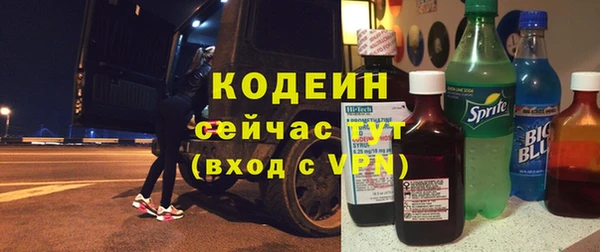 spice Богородицк