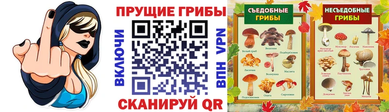 Галлюциногенные грибы Psilocybine cubensis  где можно купить наркотик  Свободный 